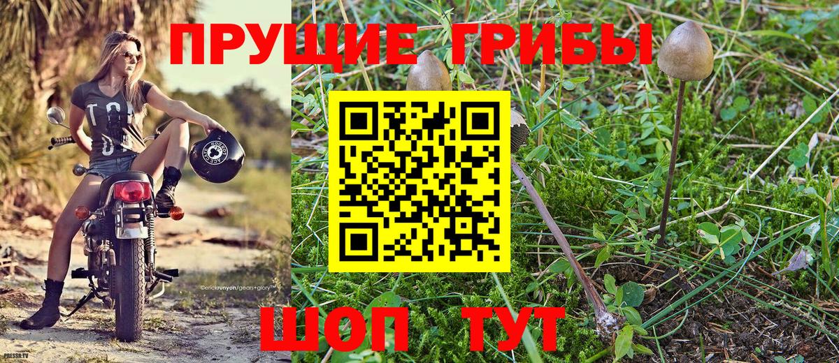 Галлюциногенные грибы мухоморы  Вход с VPN  Новороссийск  купить закладку  Псилоцибиновые грибы Magic Shrooms 